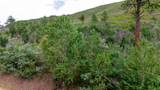 Lot 10 La Veta Acres - Photo 56
