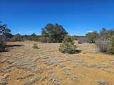 TBD Ponderosa Drive - Photo 4