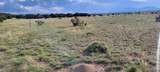 Lot 47 Greenhorn Village Tr #1 - Photo 4