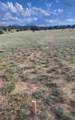 Lot 47 Greenhorn Village Tr #1 - Photo 5