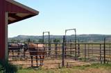 6053 Muddy Creek Rd - Photo 42