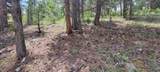 TBD Rimrock Lane - Photo 10