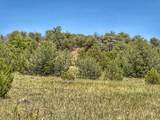  Lot 25 Comanche Rd - Photo 7
