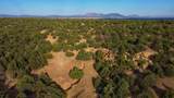 139 River Ridge Ranch - Photo 9