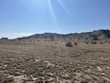 TBD 40AC Las Animas Ranch - Photo 2