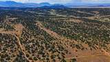 TBD Coyote Lake - Photo 10