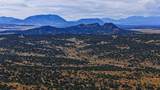 TBD Coyote Lake - Photo 9