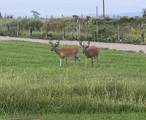 400 Co Rd 570 - Photo 44