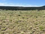 Lot 46 River Ridge Ranch Phs # 2 - Photo 11