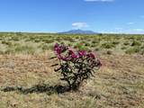 Lot 46 River Ridge Ranch Phs # 2 - Photo 13