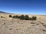 Lot 291 Black Hills #2 - Photo 11