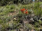  Lot 246 Unit Cc-2 Cl&G Ranch - Photo 14
