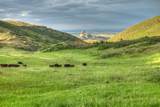 850 Rilling Canyon Rd - Photo 11