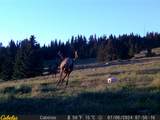 23500 Donnell Park Way - Photo 43