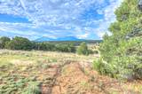 91 Comanche Drive - Photo 31