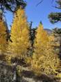  Cuchara Pass Ranches - Photo 37
