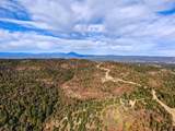 33191 Elk Park Rd - Photo 25