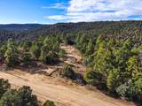 33191 Elk Park Rd - Photo 32