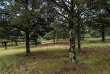 33081 Oak Park Drive - Photo 44