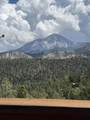 220 Co Rd 406 - Photo 24