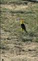 136 Turkey Ridge Ranch - Photo 4