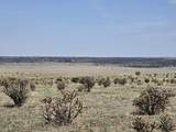 136 Turkey Ridge Ranch - Photo 6