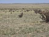 136 Turkey Ridge Ranch - Photo 8