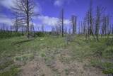 1185 Bechtel - Photo 9