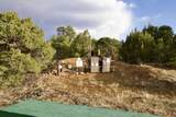 25257 County Rd. 55.9 - Photo 48