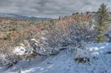 3616 Schieffelin Rd - Photo 35
