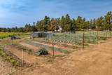 14600 County Rd 30.1 - Photo 31