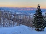 1833 Yellowstone Creek Road - Photo 48