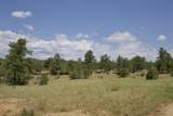 TBD Lark Bunting Lane/Cedar Rd - Photo 10