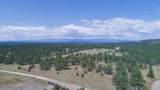 TBD Lark Bunting Lane/Cedar Rd - Photo 12