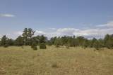 TBD Lark Bunting Lane/Cedar Rd - Photo 13