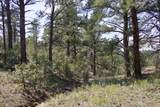 TBD Lark Bunting Lane/Cedar Rd - Photo 29