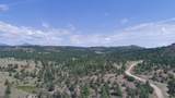 TBD Lark Bunting Lane/Cedar Rd - Photo 35