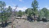 TBD Lark Bunting Lane/Cedar Rd - Photo 36