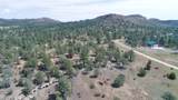 TBD Lark Bunting Lane/Cedar Rd - Photo 37
