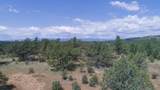 TBD Lark Bunting Lane/Cedar Rd - Photo 41