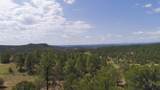 TBD Lark Bunting Lane/Cedar Rd - Photo 43