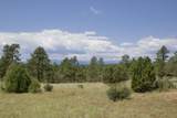 TBD Lark Bunting Lane/Cedar Rd - Photo 44