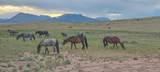 lot 75a River Ridge Ranch - Photo 3