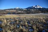 TBD Muleshoe Road - Photo 1