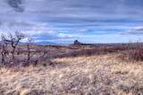 TBD Muleshoe Road - Photo 28