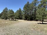 23142 County Rd 30.1 - Photo 25