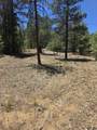 17775 County Road 51.0 - Photo 11