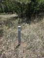 17775 County Road 51.0 - Photo 13
