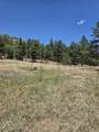 17775 County Road 51.0 - Photo 16