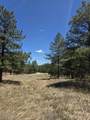 17775 County Road 51.0 - Photo 17